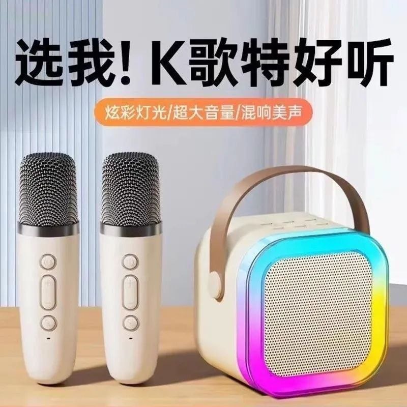 Portable KTV Dual Microphone & Speaker Set