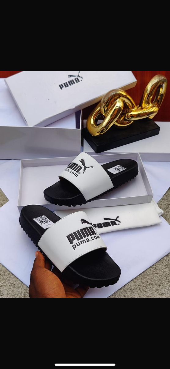 Puma Slide